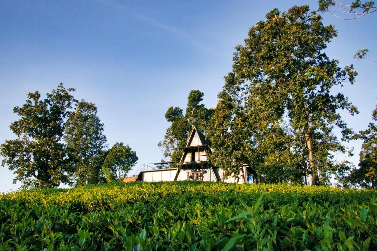 The Backyard Balangoda Bagian luar foto