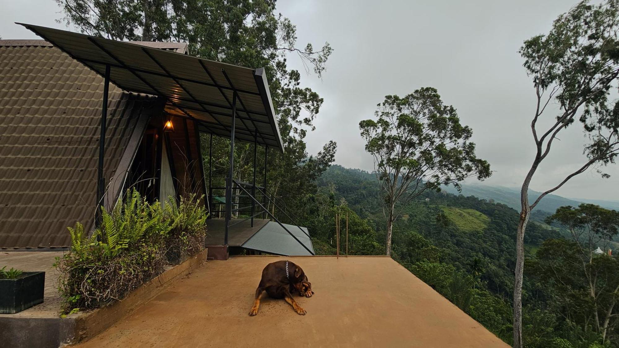 The Backyard Balangoda Bagian luar foto